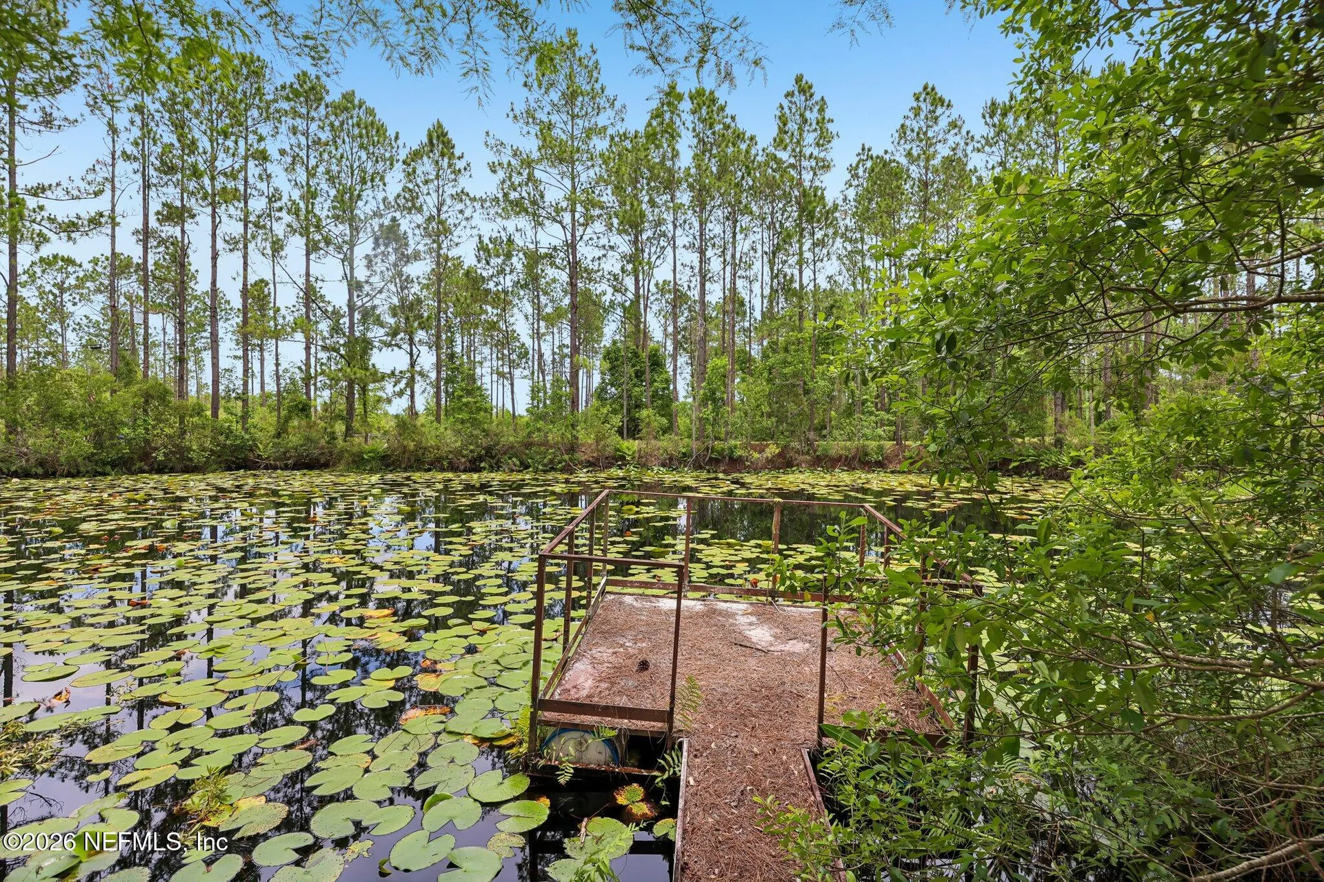 341 Volusian Forest Trail Pierson FL 32180