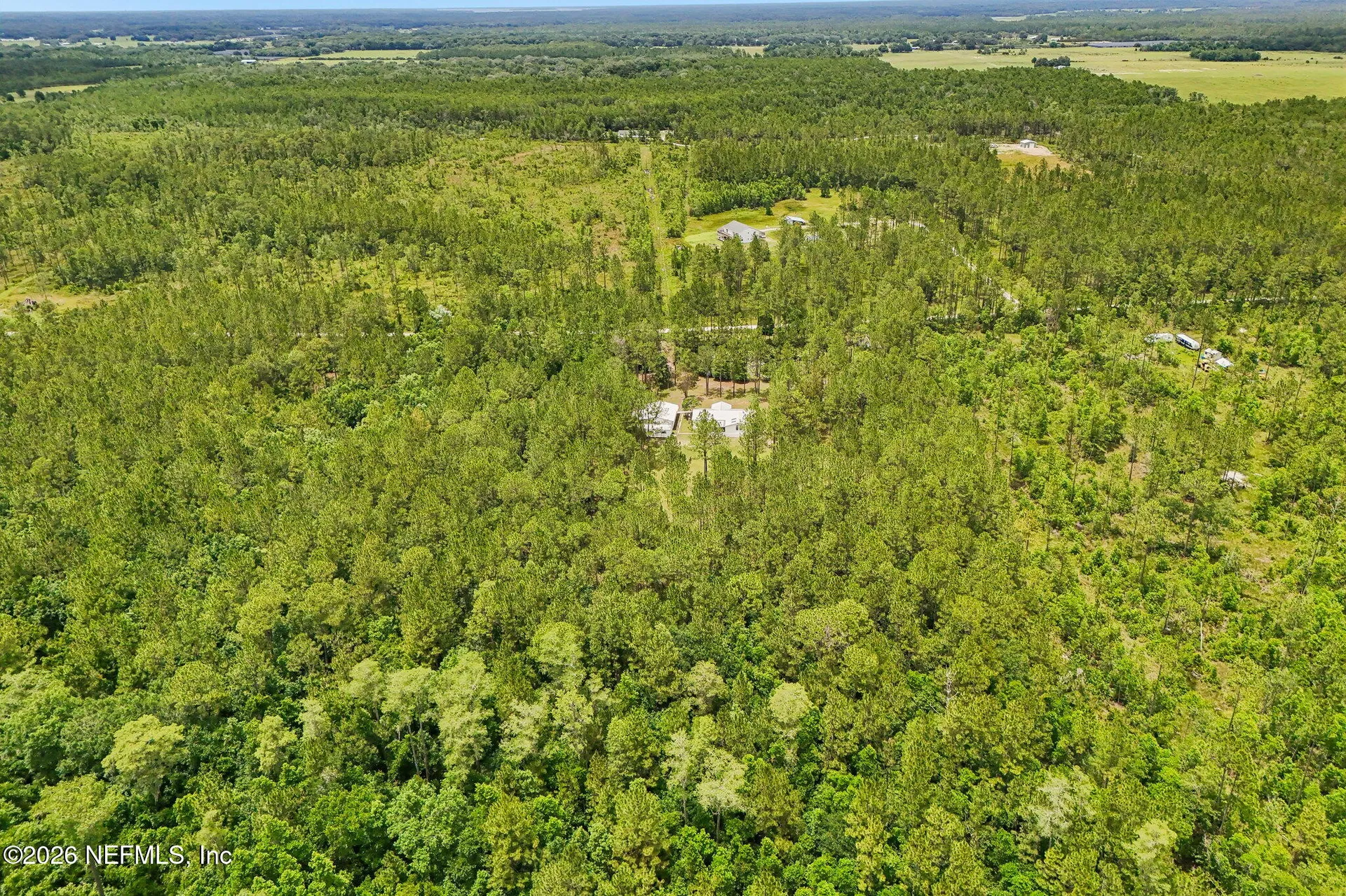 341 Volusian Forest Trail Pierson FL 32180
