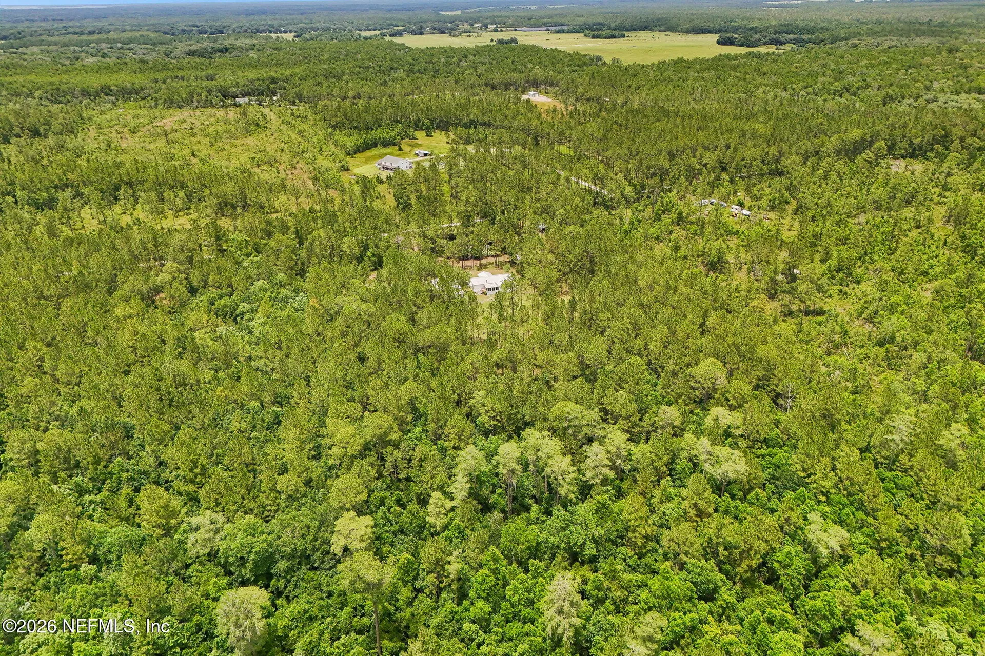 341 Volusian Forest Trail Pierson FL 32180