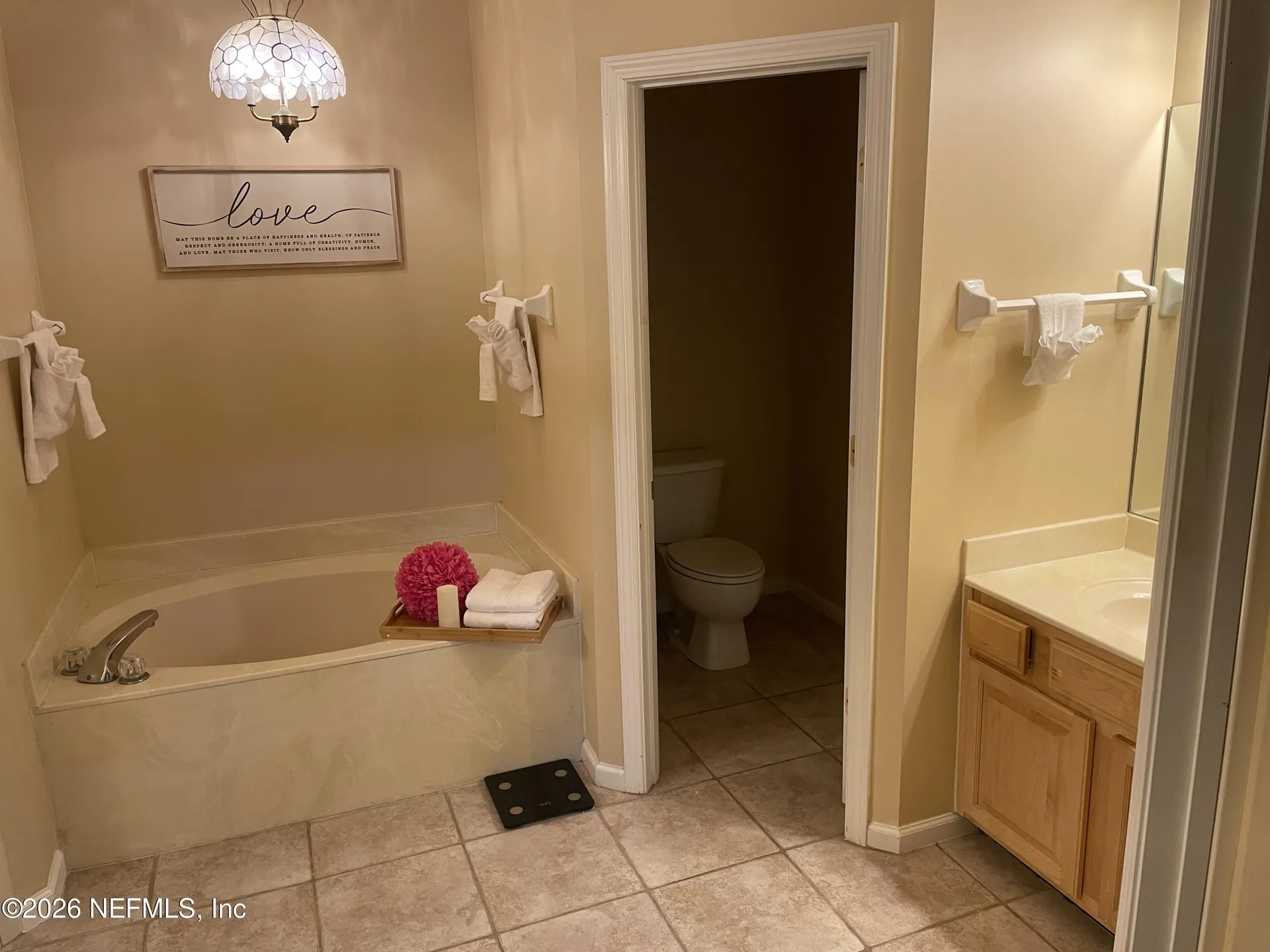 2543 Willow Creek Drive Fleming Island FL 32003