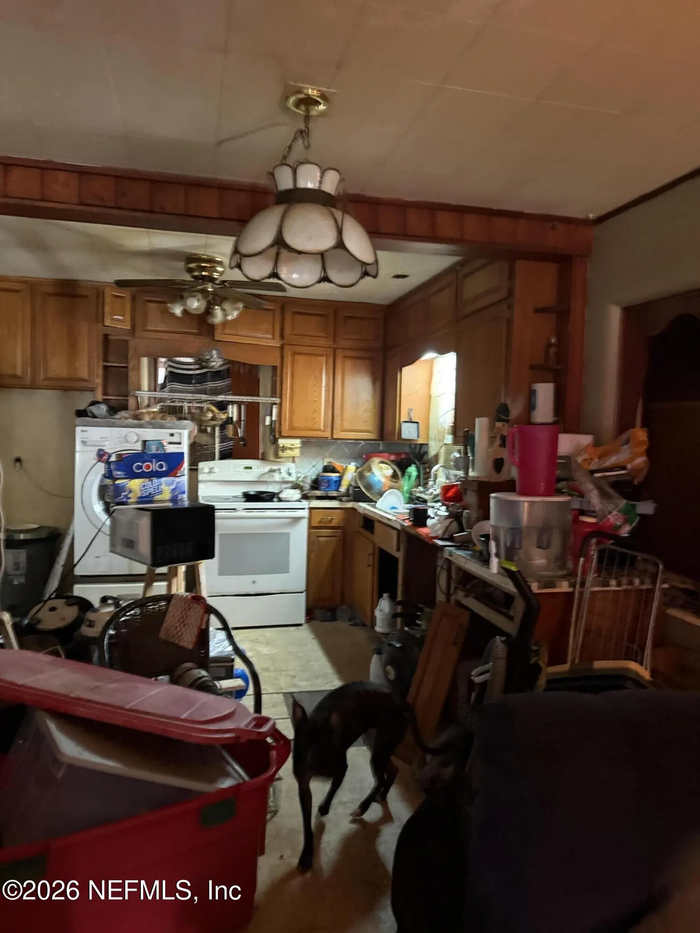 306 Eucalyptus Avenue Crescent City FL 32112
