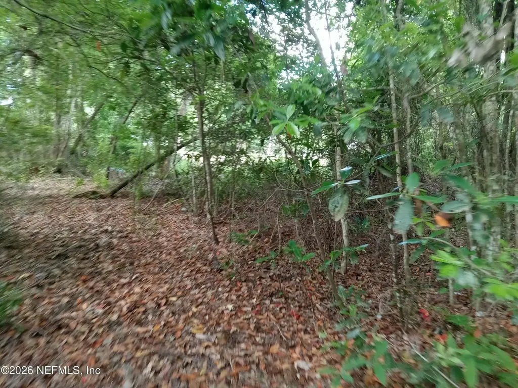 75427 Johnson Lake Road Yulee FL 32097