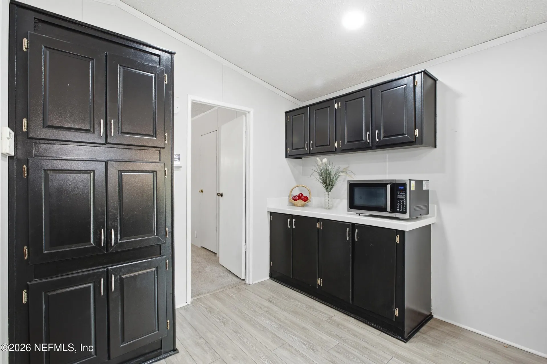 4766 Acacia Street Middleburg FL 32068