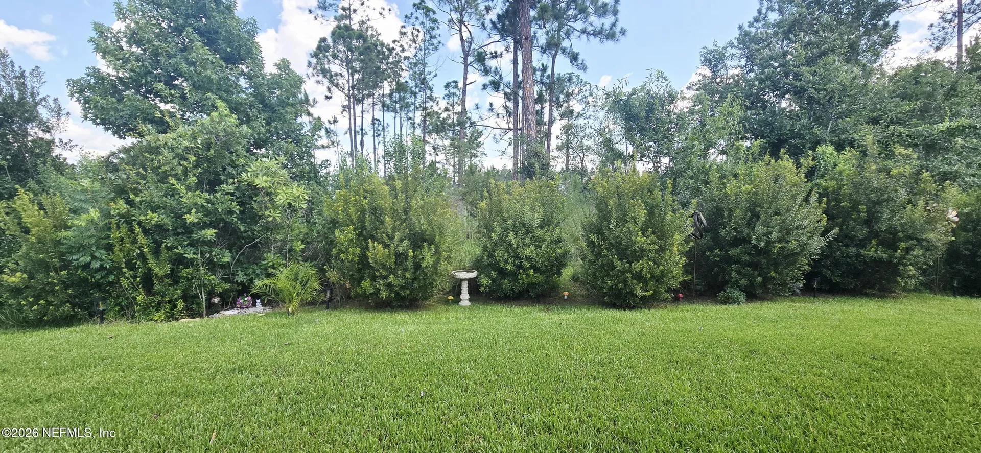 2453 Bradley Park Drive Green Cove Springs FL 32043