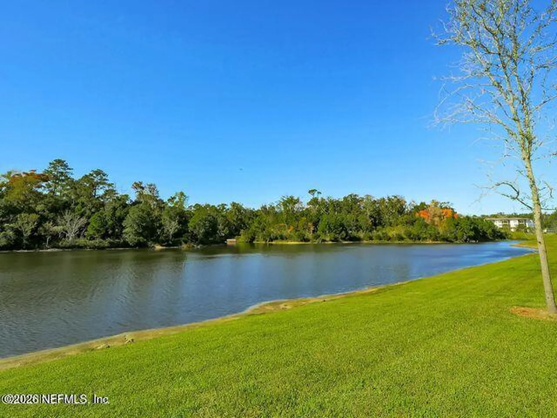 8201 Green Parrot Road Jacksonville FL 32256