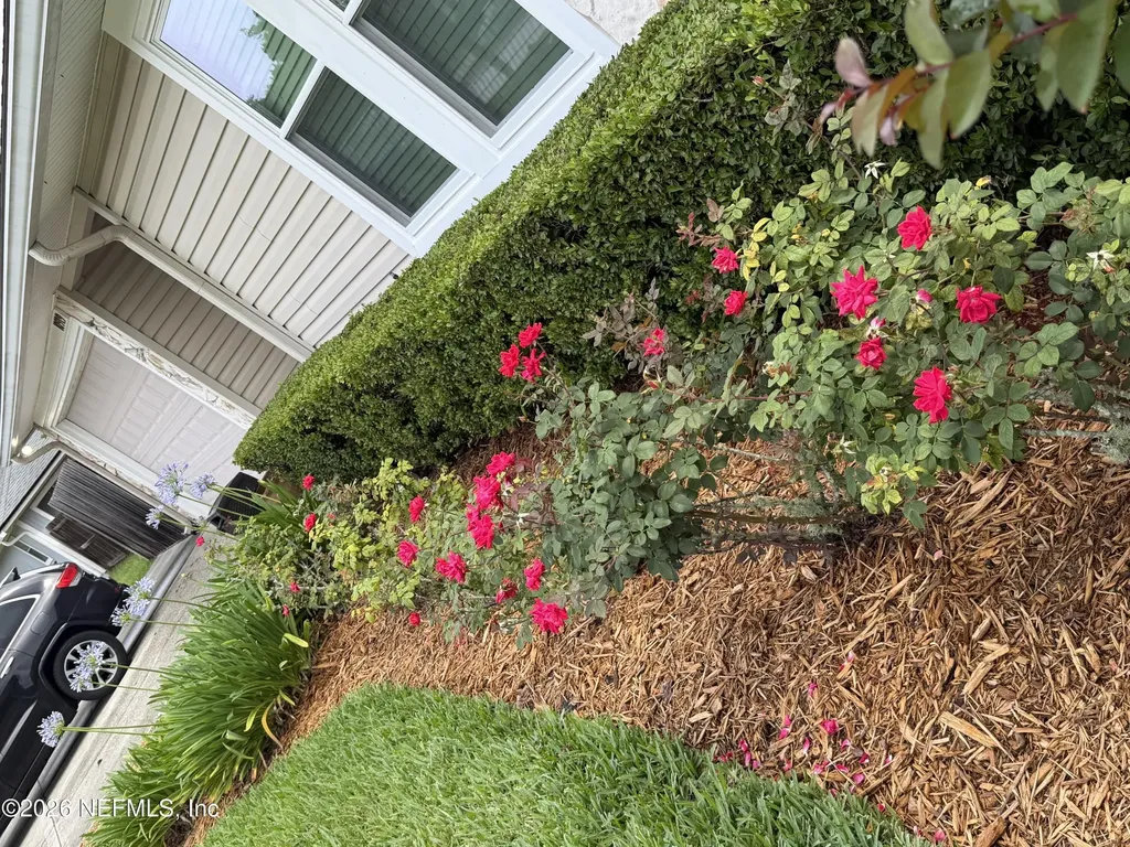 10919 Losco Junction Drive Jacksonville FL 32257