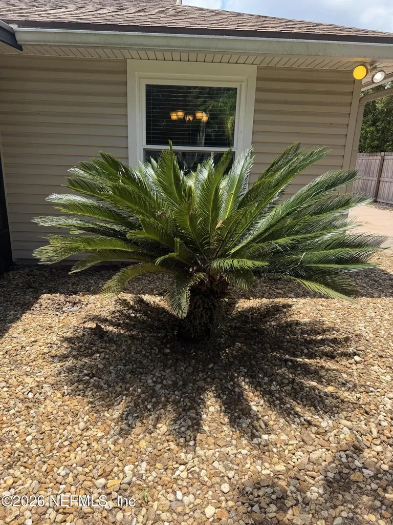 10919 Losco Junction Drive Jacksonville FL 32257