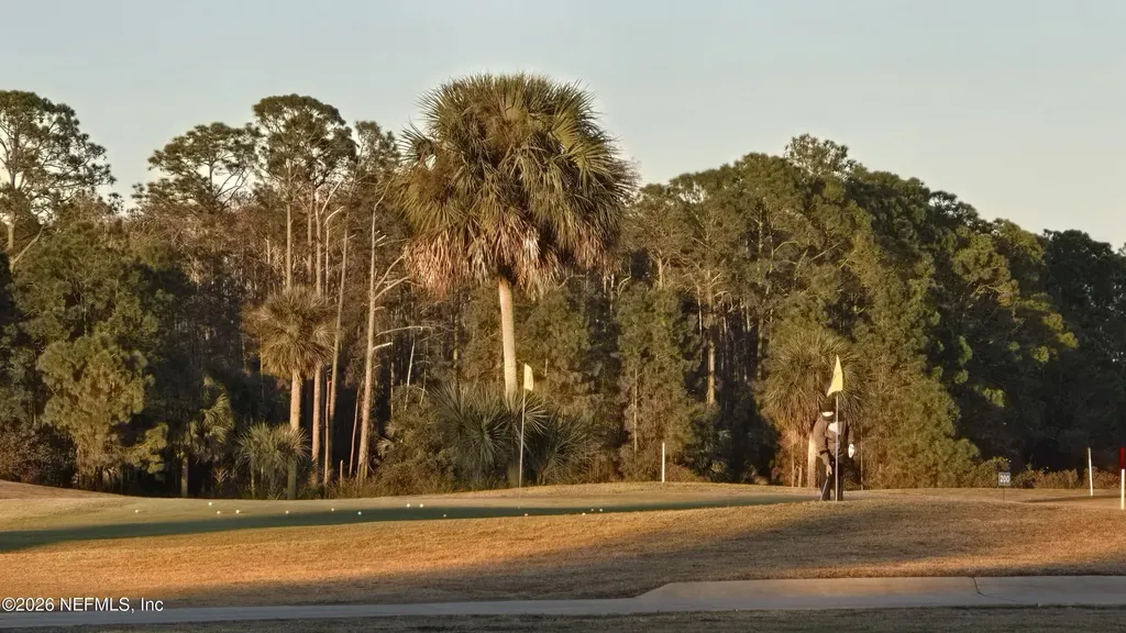 367 Caryota Court New Smyrna Beach FL 32168