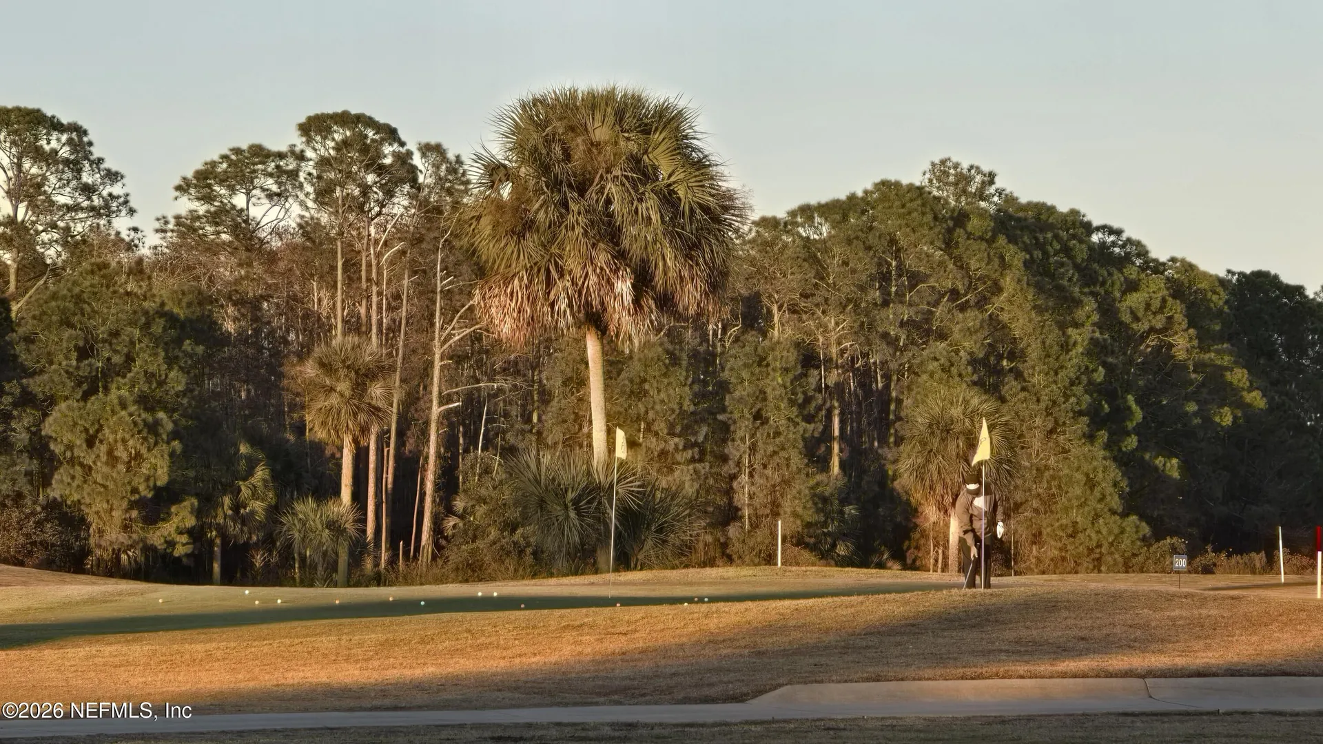 367 Caryota Court New Smyrna Beach FL 32168
