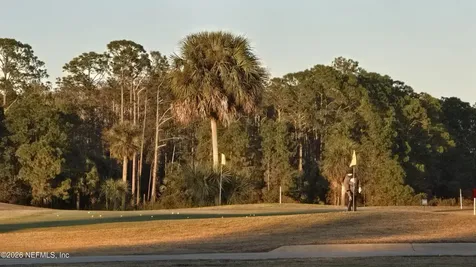 367 Caryota Court New Smyrna Beach FL 32168