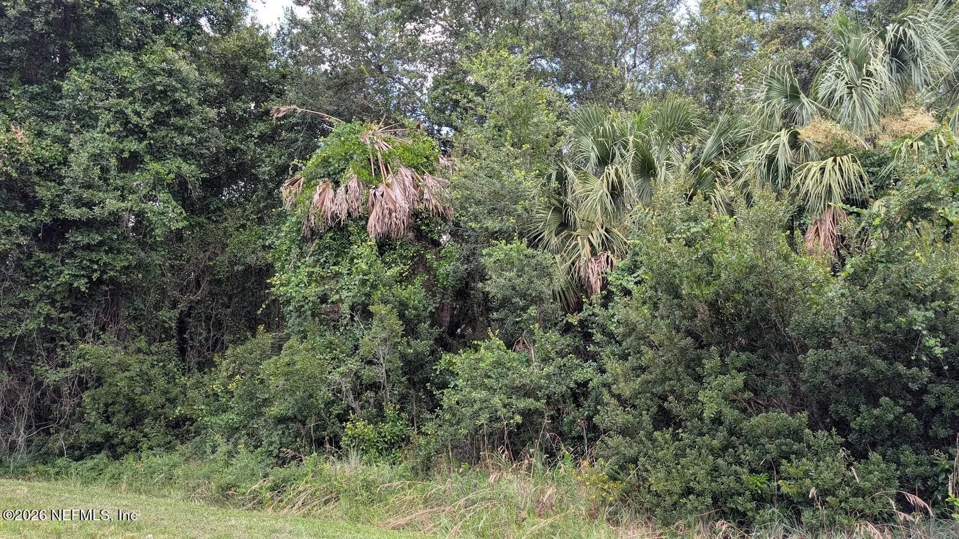 710 Paradise Boulevard Georgetown FL 32139