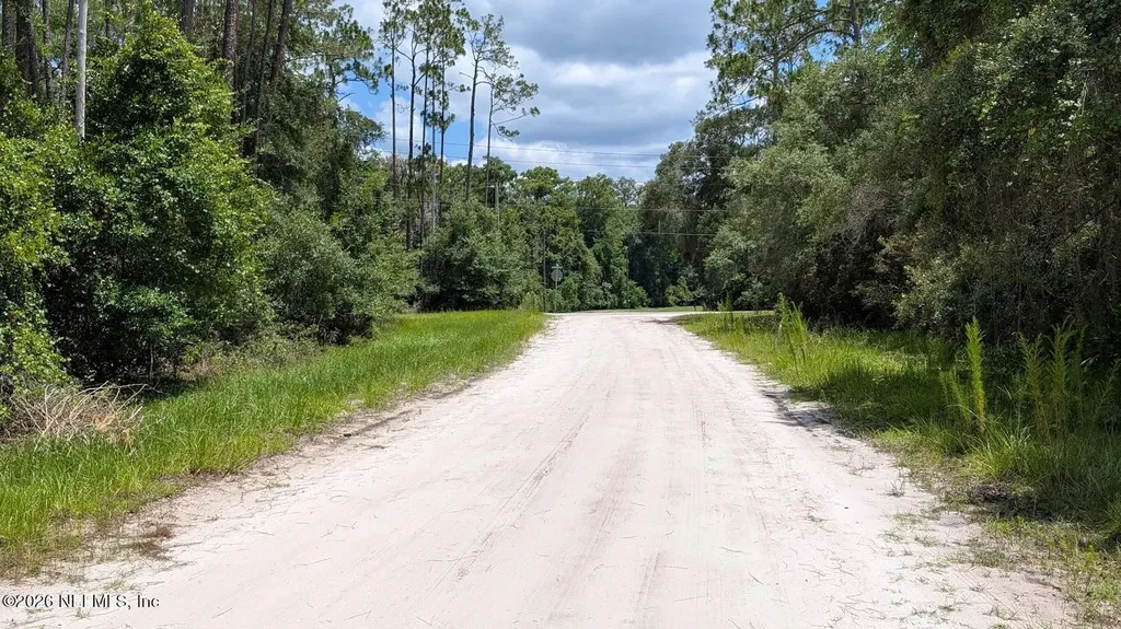 301 Whispering Pines Road Georgetown FL 32139