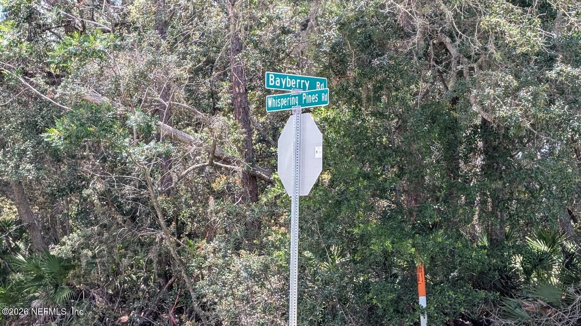 301 Whispering Pines Road Georgetown FL 32139