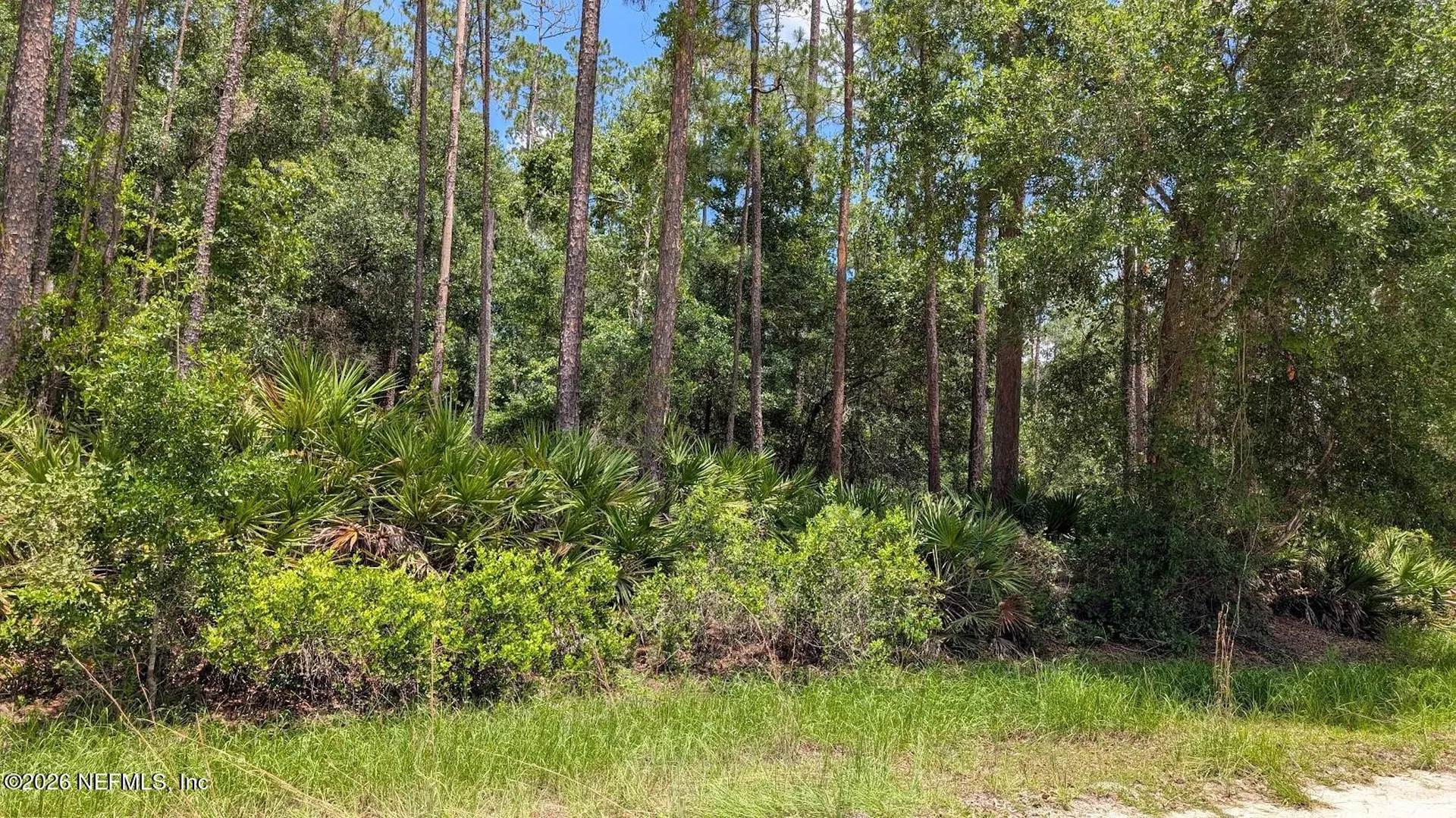 301 Whispering Pines Road Georgetown FL 32139