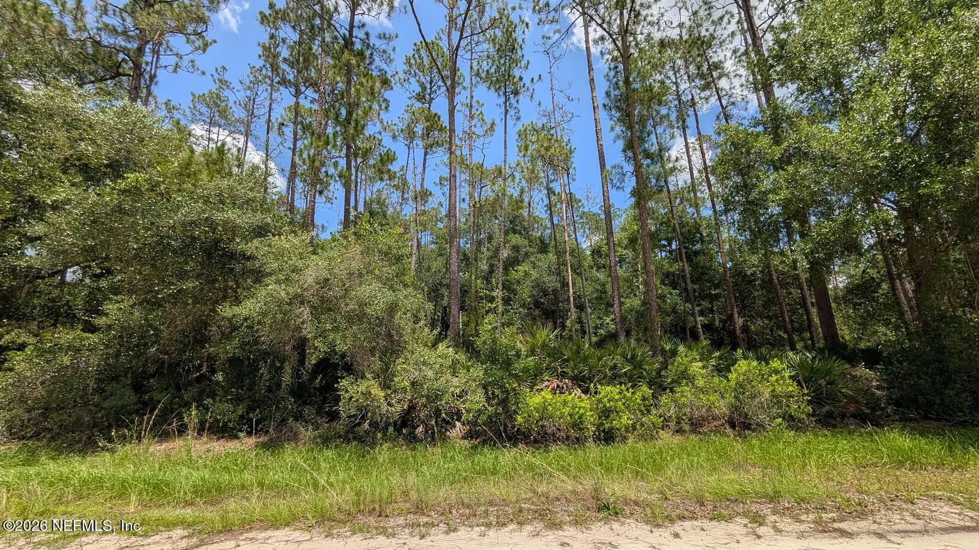 301 Whispering Pines Road Georgetown FL 32139