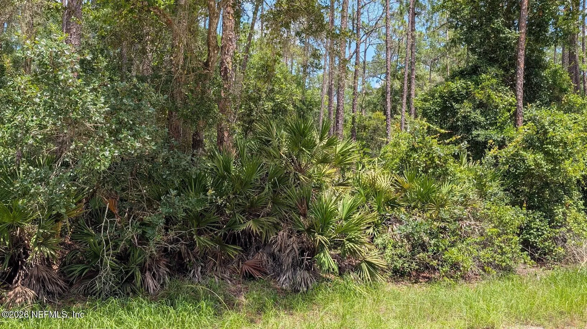 301 Whispering Pines Road Georgetown FL 32139