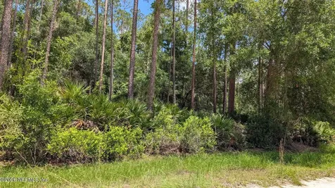 301 Whispering Pines Road Georgetown FL 32139