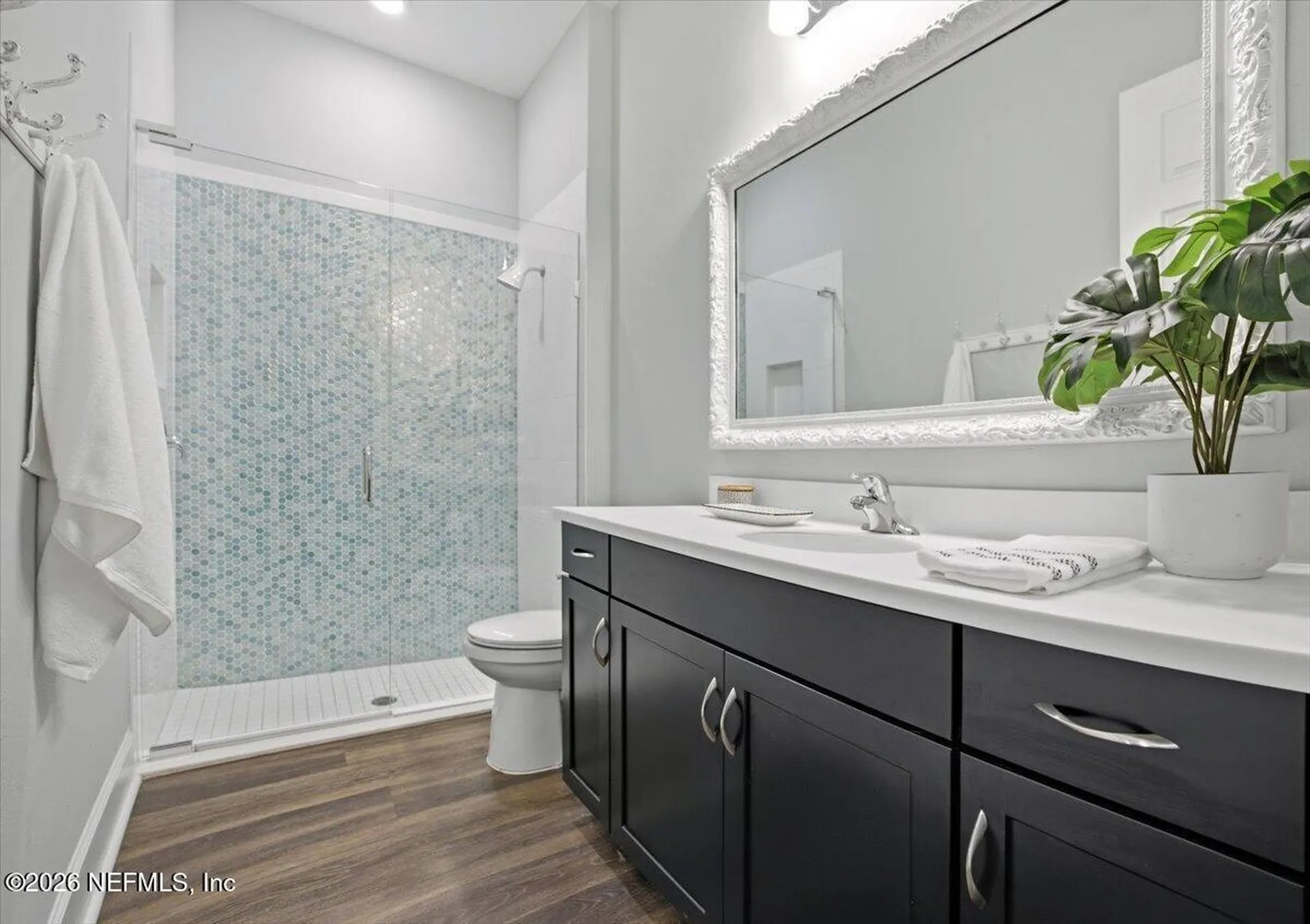 41 Bolsana Court St. Augustine FL 32092
