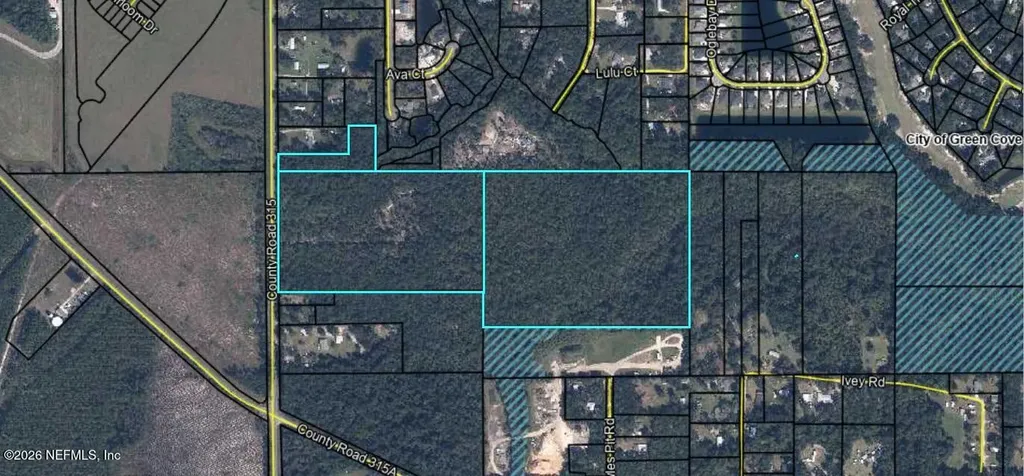3771 County Road 315 Green Cove Springs FL 32043