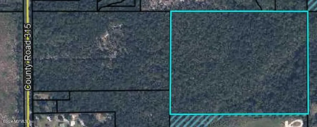 3771 County Road 315 Green Cove Springs FL 32043