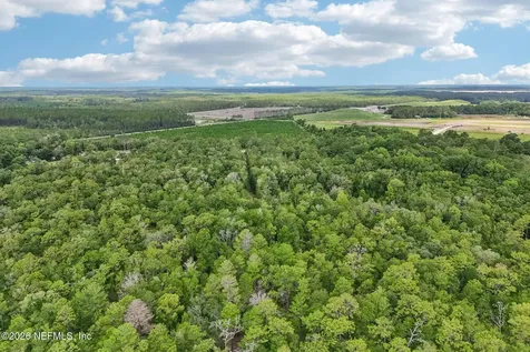 3771 County Road 315 Green Cove Springs FL 32043