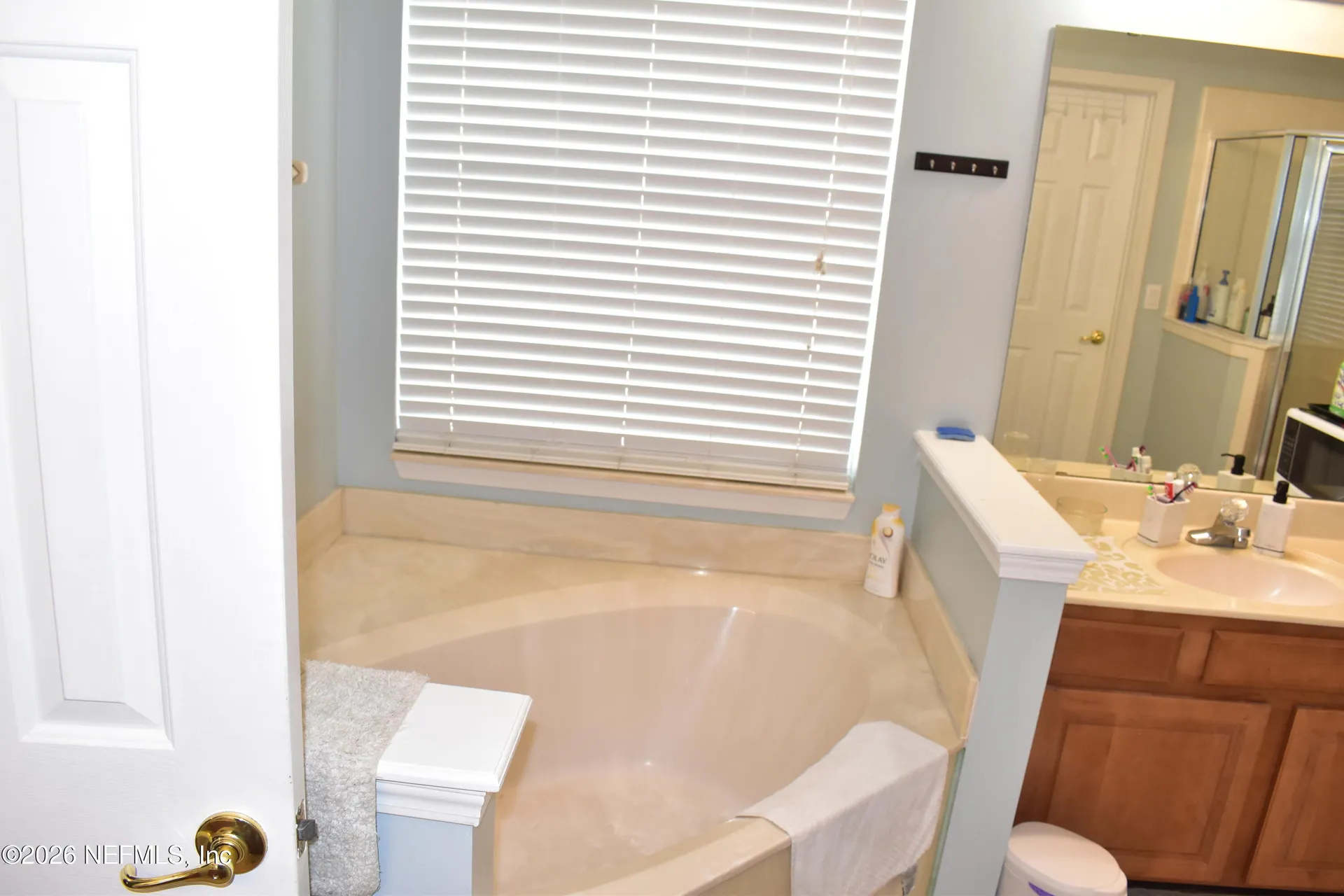 3204 Wandering Oaks Drive Orange Park FL 32065