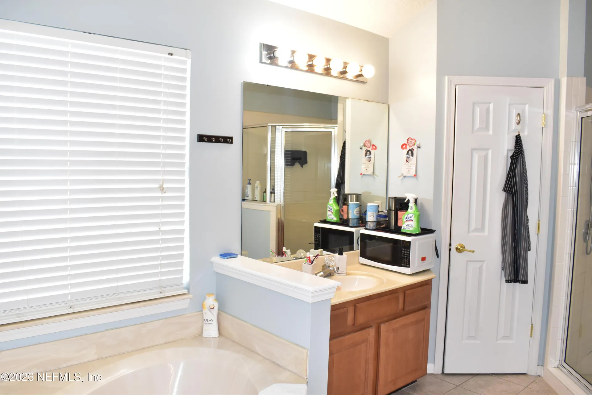 3204 Wandering Oaks Drive Orange Park FL 32065