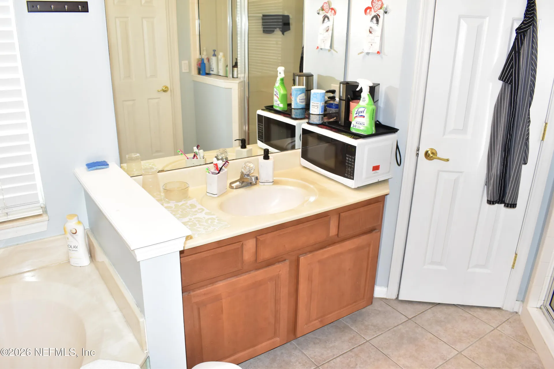 3204 Wandering Oaks Drive Orange Park FL 32065