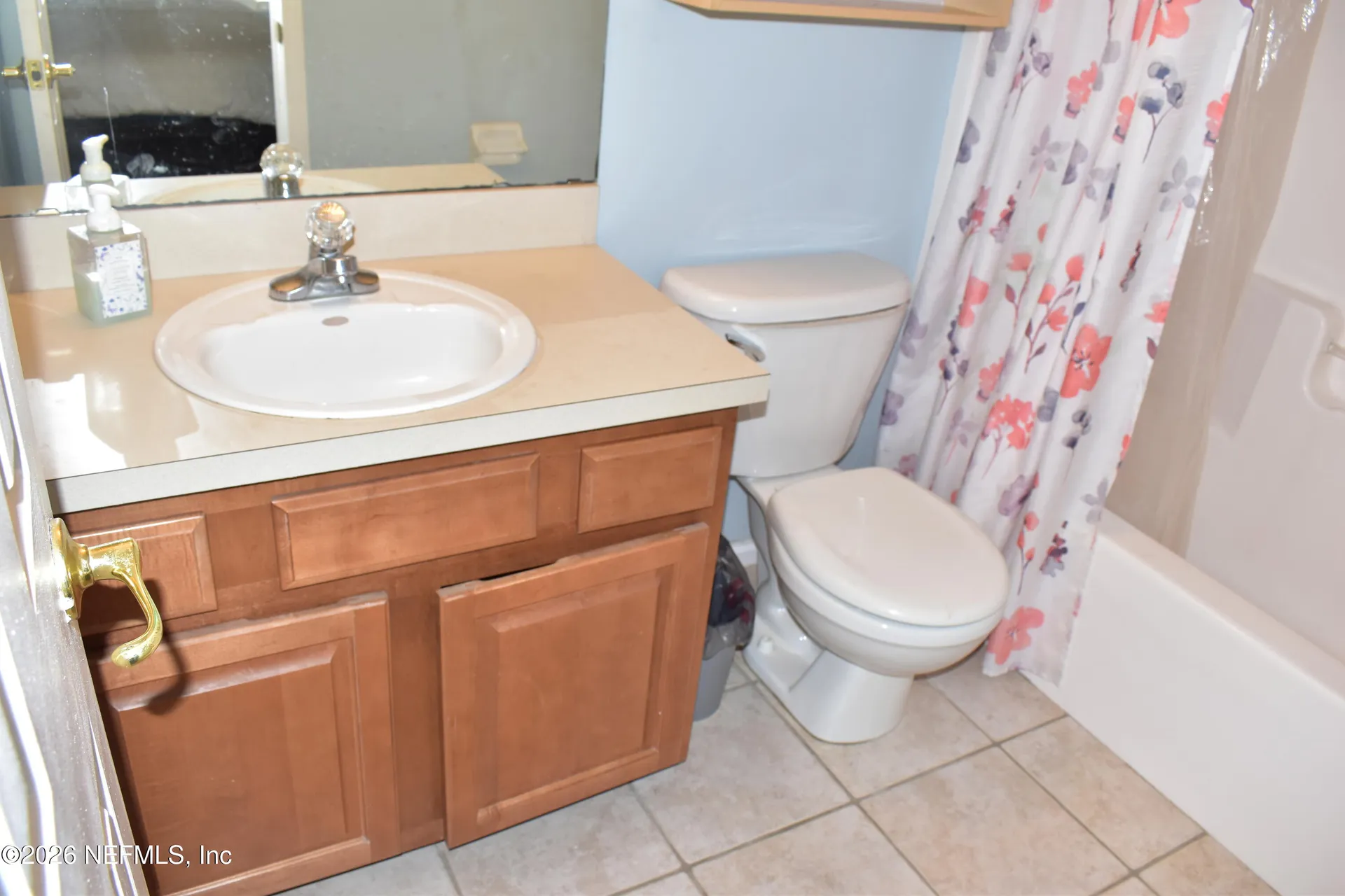 3204 Wandering Oaks Drive Orange Park FL 32065