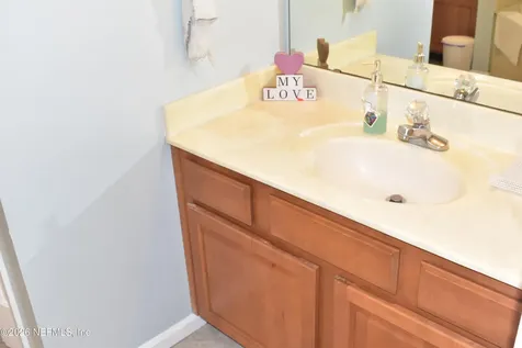 3204 Wandering Oaks Drive Orange Park FL 32065