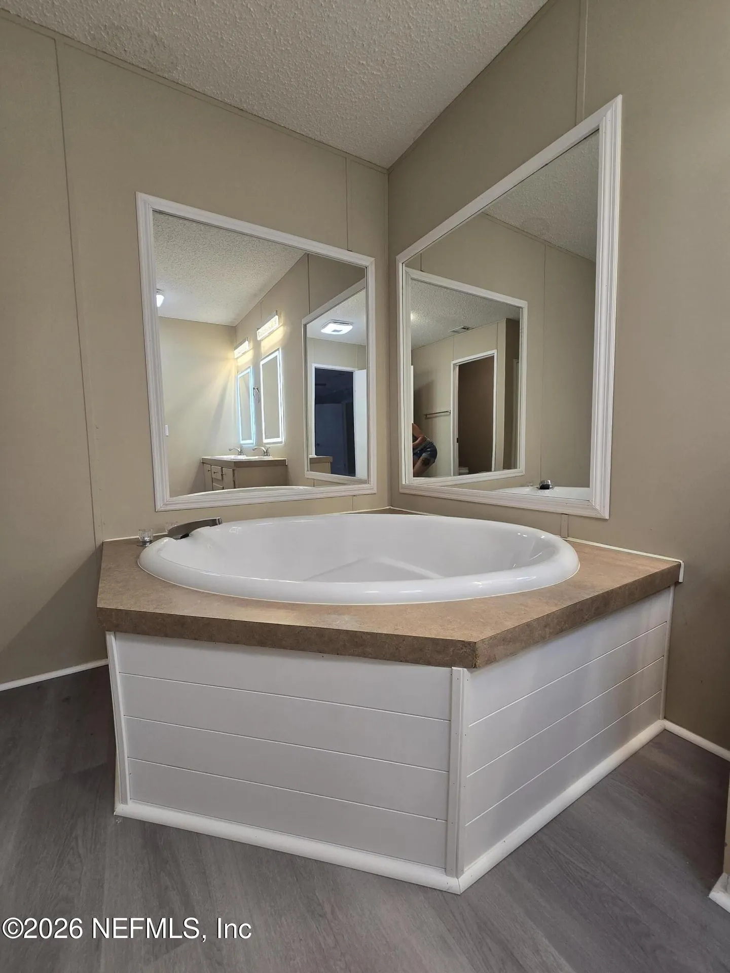 229 Dolphin Circle Middleburg FL 32068