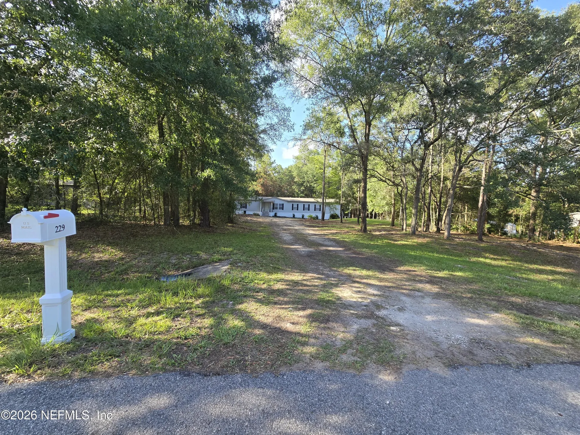 229 Dolphin Circle Middleburg FL 32068