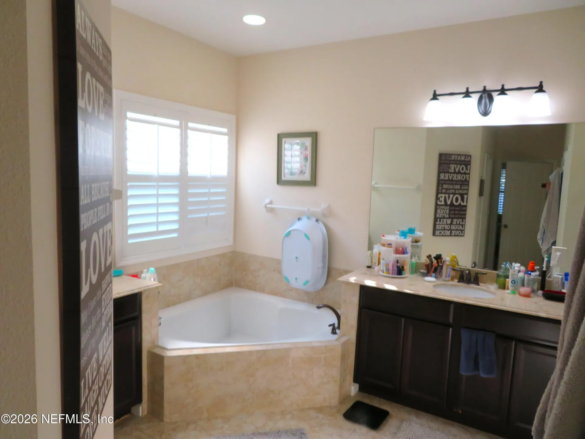 747 Sunny Stroll Drive Middleburg FL 32068