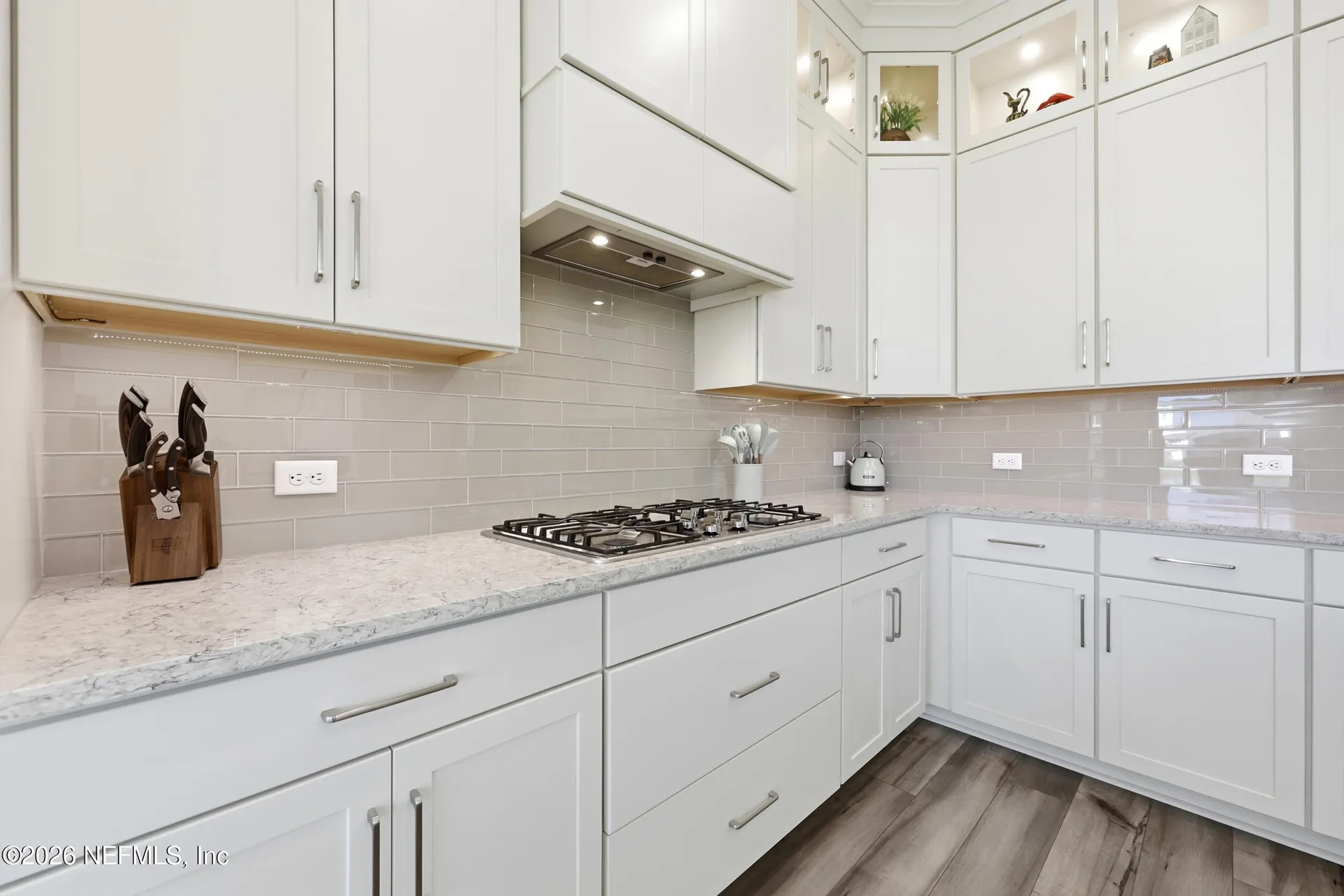 3053 Fiera Vista Drive Jacksonville FL 32246
