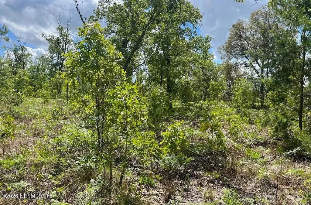 0000 Lady Bug Lane Melrose FL 32666