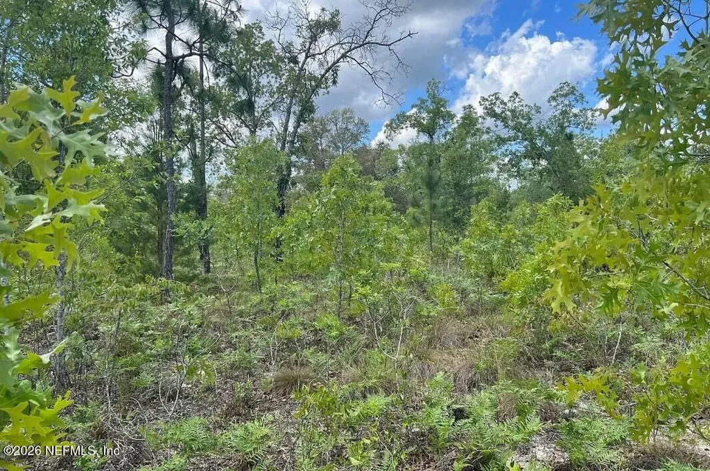 0000 Lady Bug Lane Melrose FL 32666