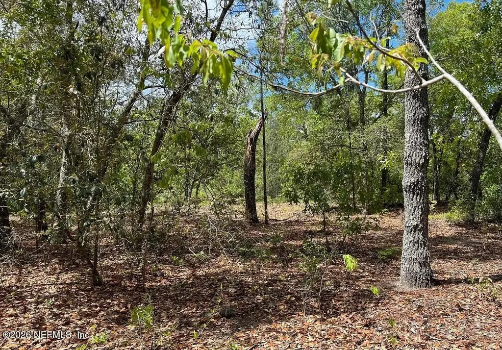 0000 Lady Bug Lane Melrose FL 32666