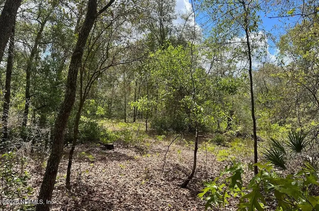 0000 Lady Bug Lane Melrose FL 32666