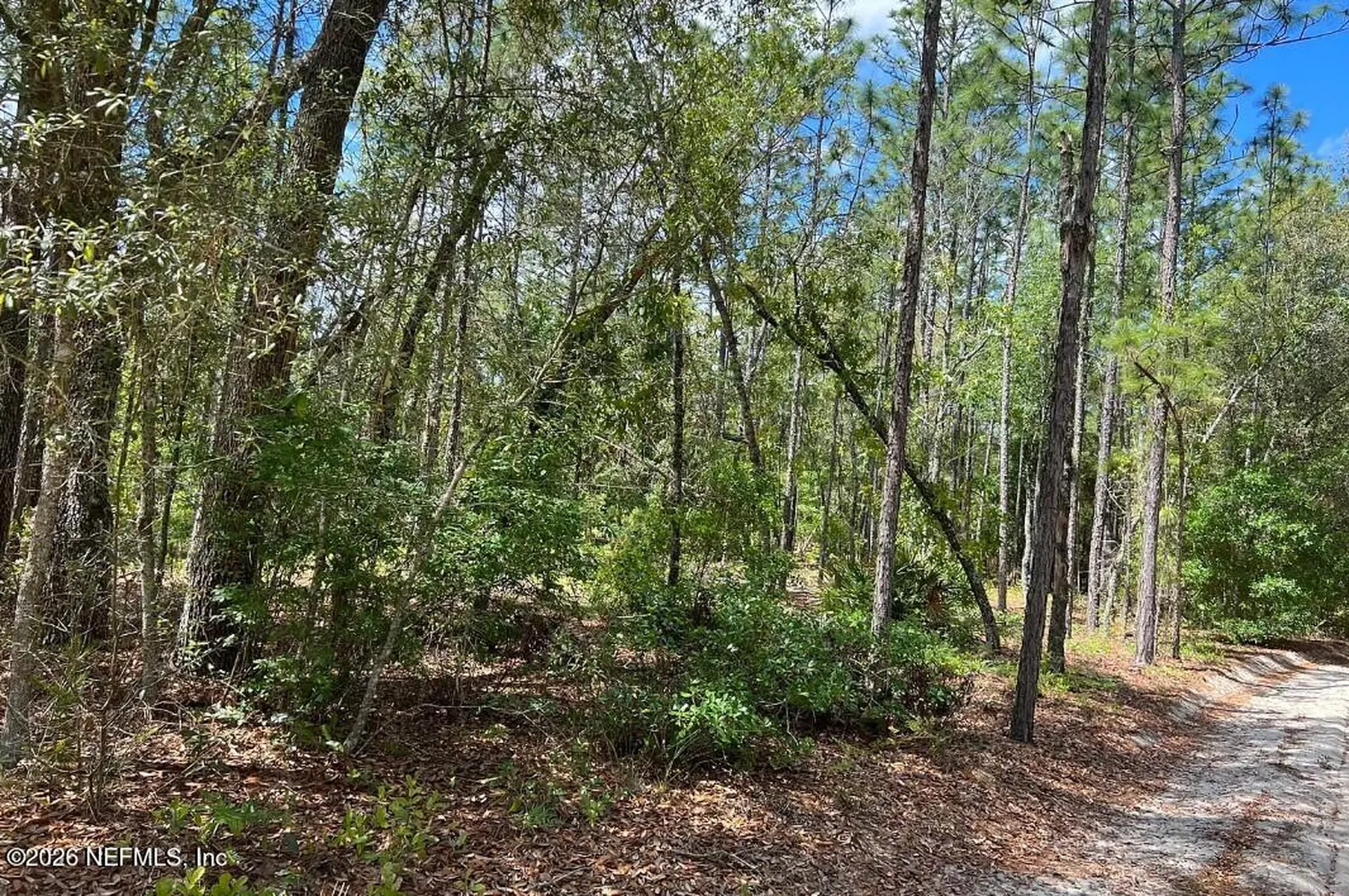 0000 Lady Bug Lane Melrose FL 32666