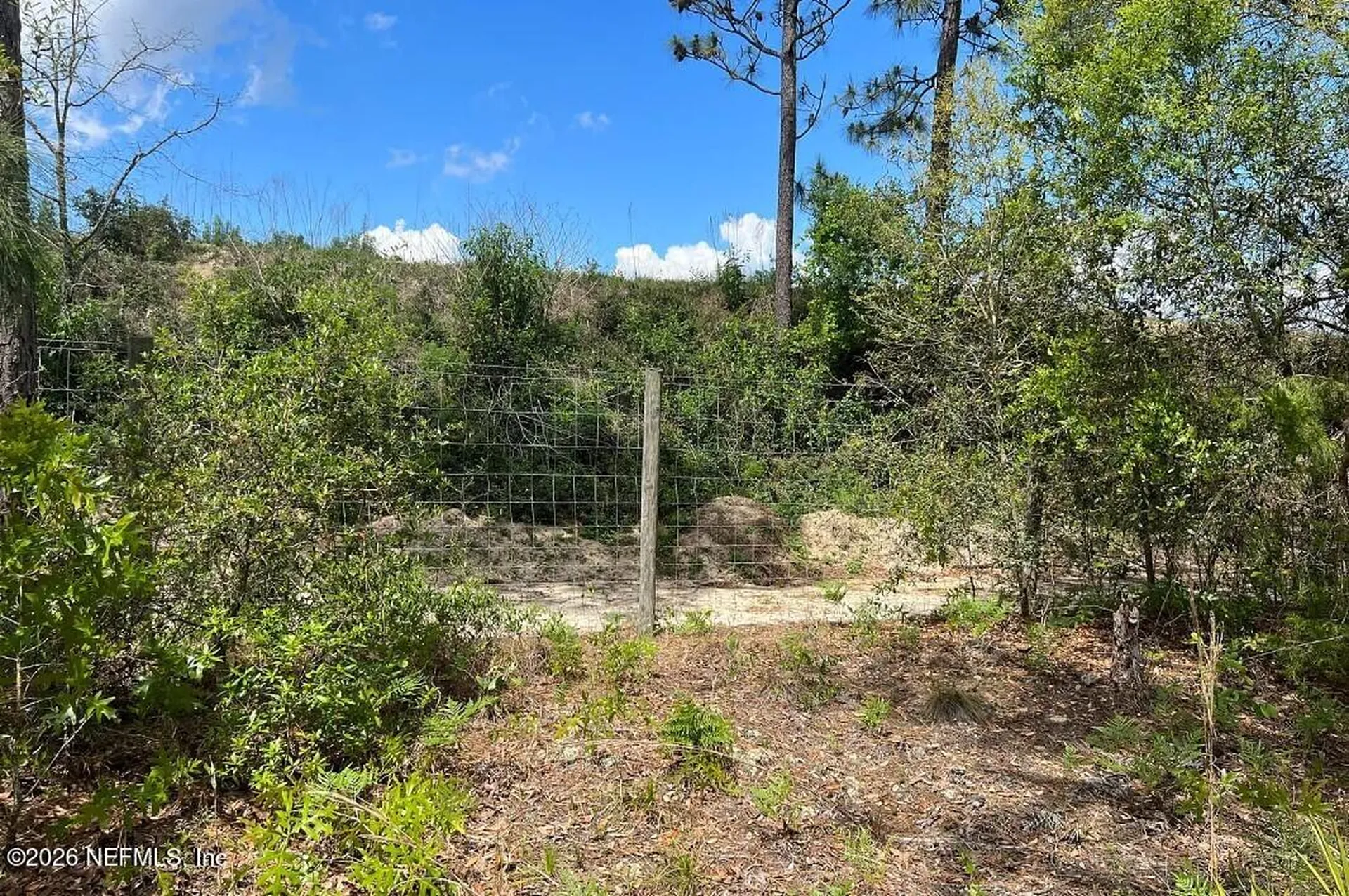 0000 Lady Bug Lane Melrose FL 32666