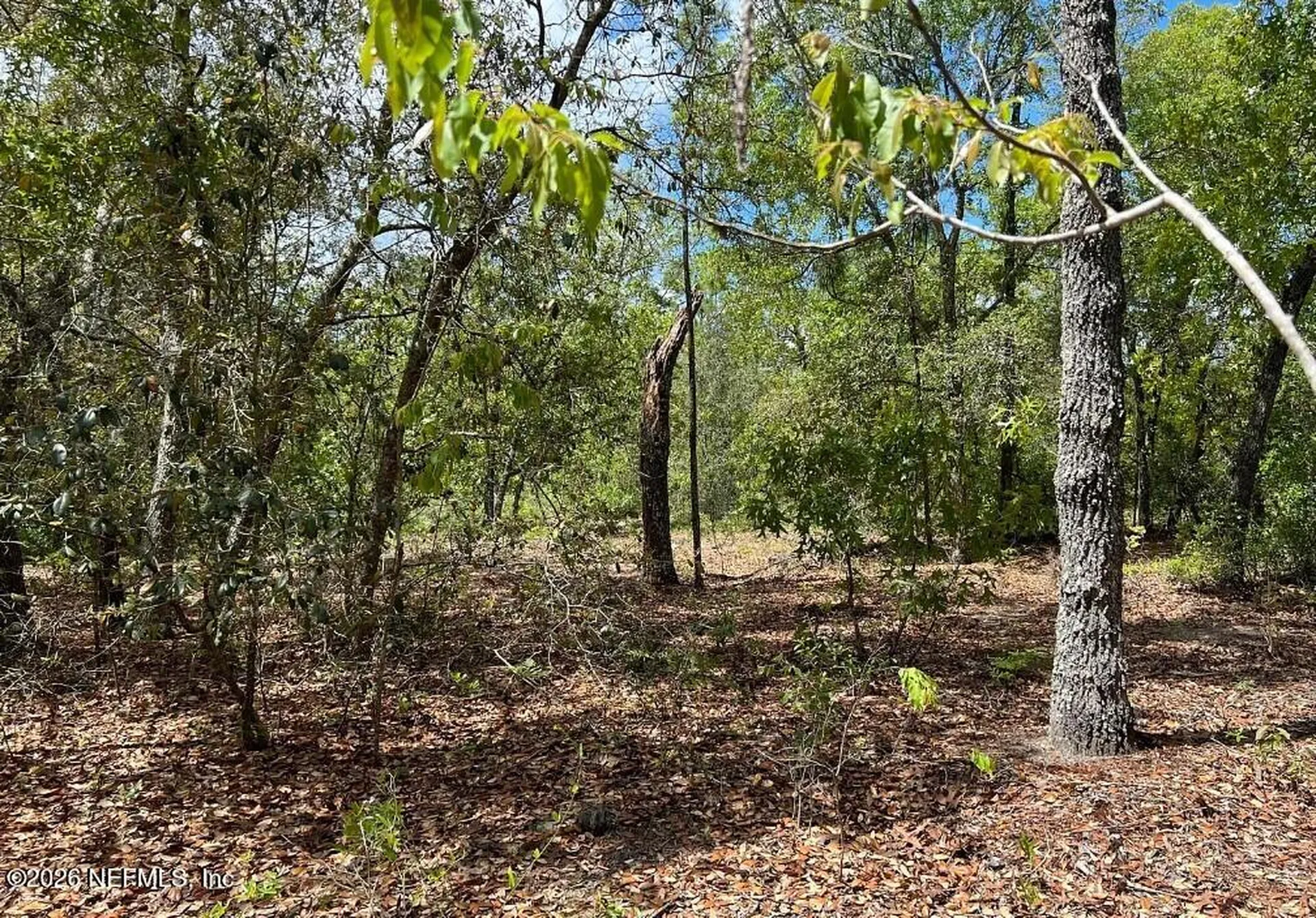 0000 Lady Bug Lane Melrose FL 32666