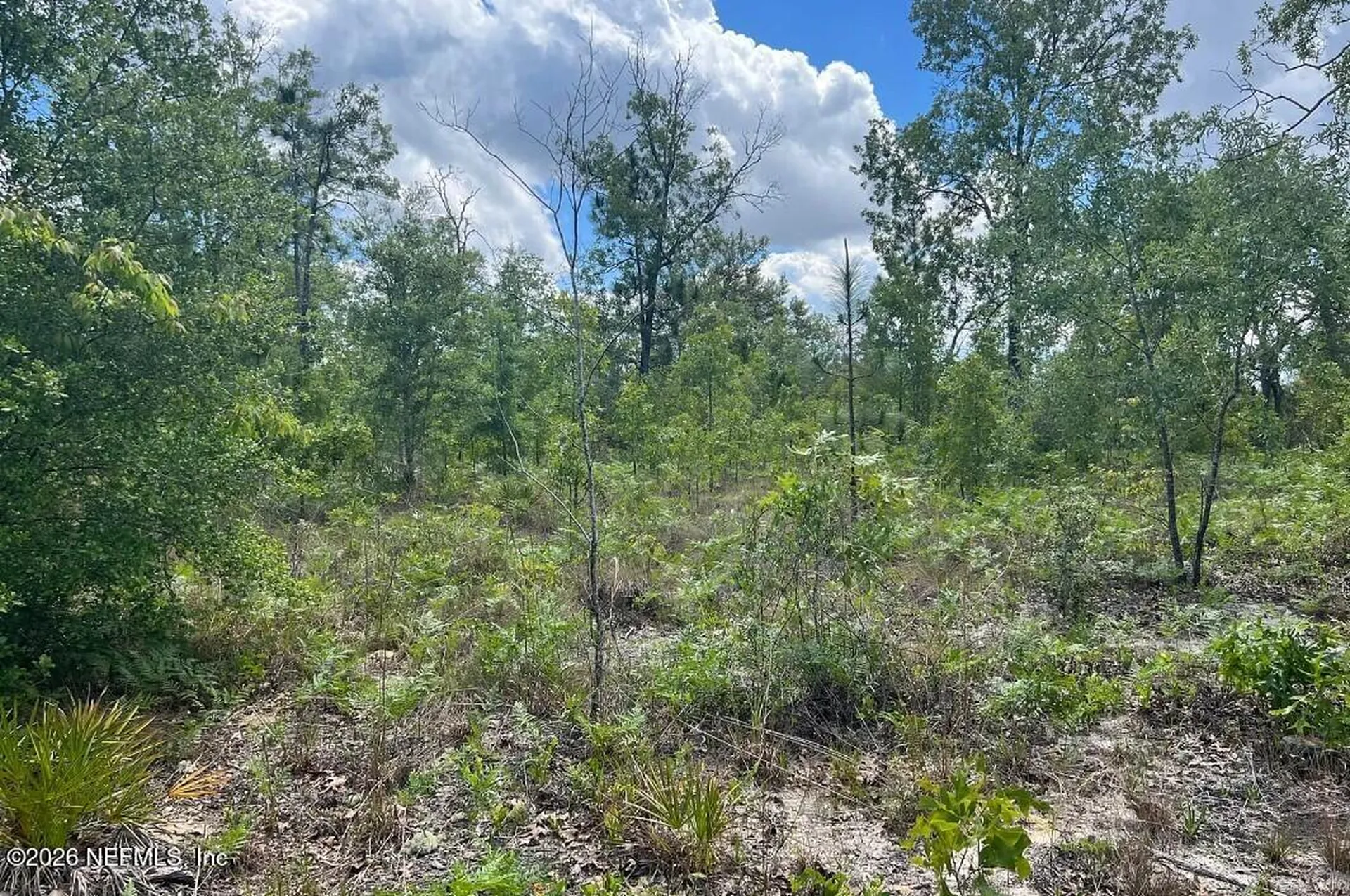 0000 Lady Bug Lane Melrose FL 32666