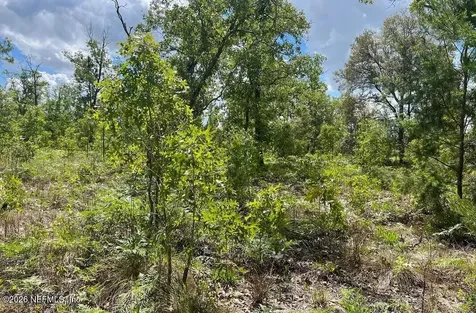 0000 Lady Bug Lane Melrose FL 32666
