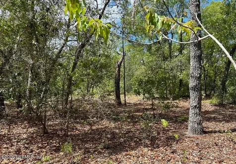 0000 Lady Bug Lane Melrose FL 32666