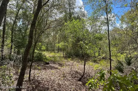 0000 Lady Bug Lane Melrose FL 32666