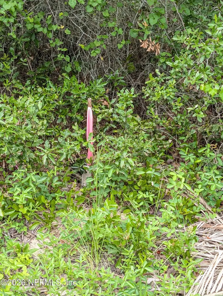 238 Keuka Road Interlachen FL 32148