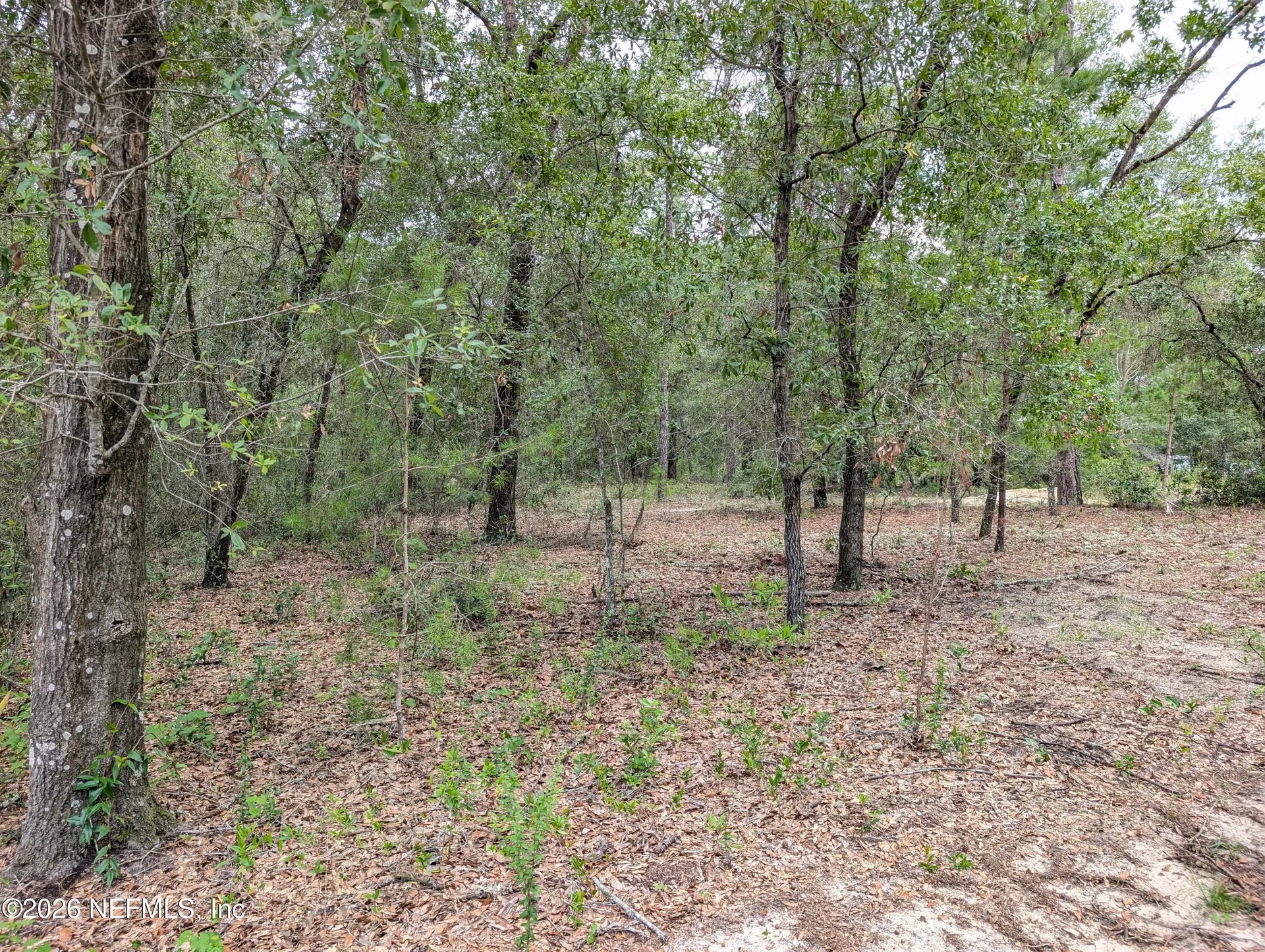 238 Keuka Road Interlachen FL 32148