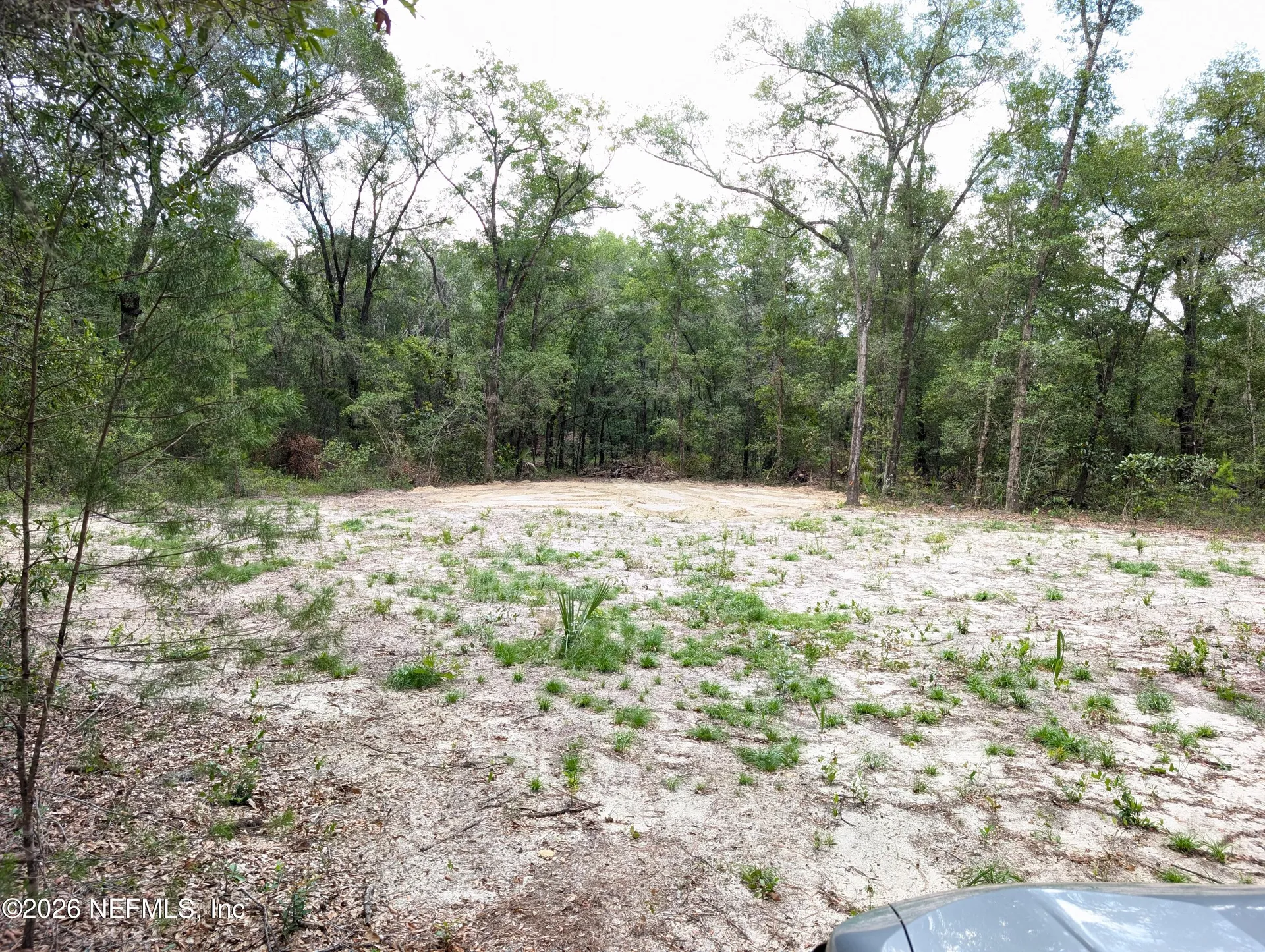 238 Keuka Road Interlachen FL 32148