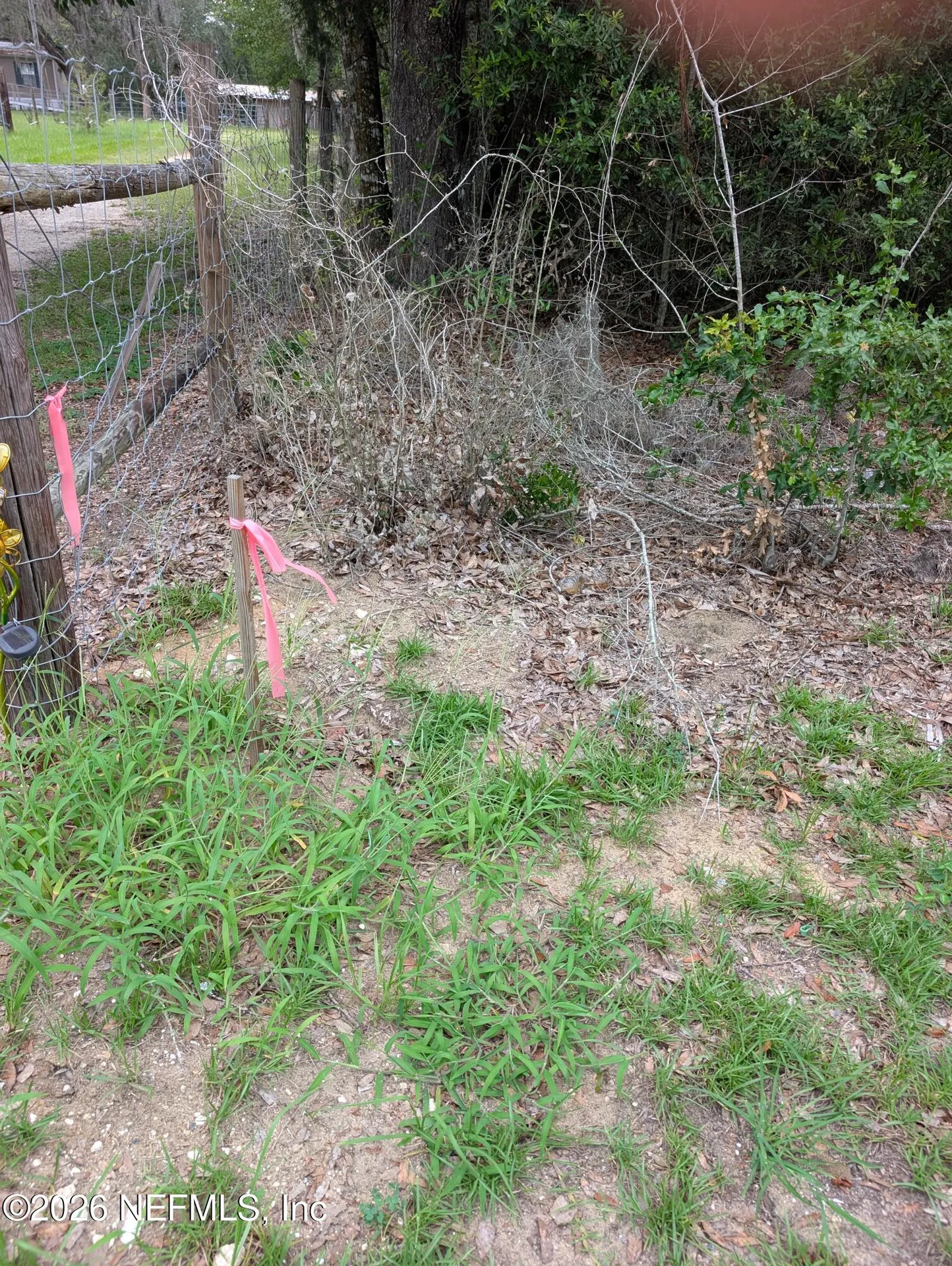 238 Keuka Road Interlachen FL 32148