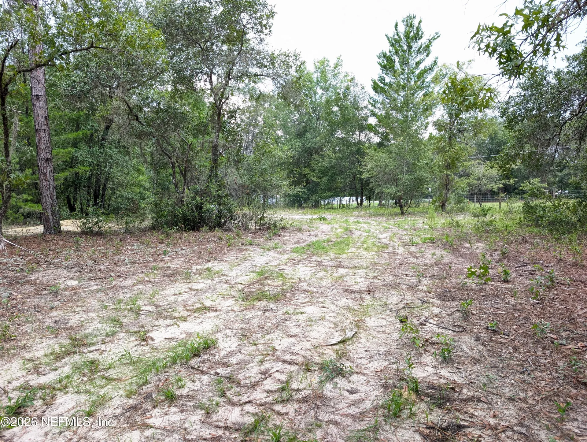 238 Keuka Road Interlachen FL 32148